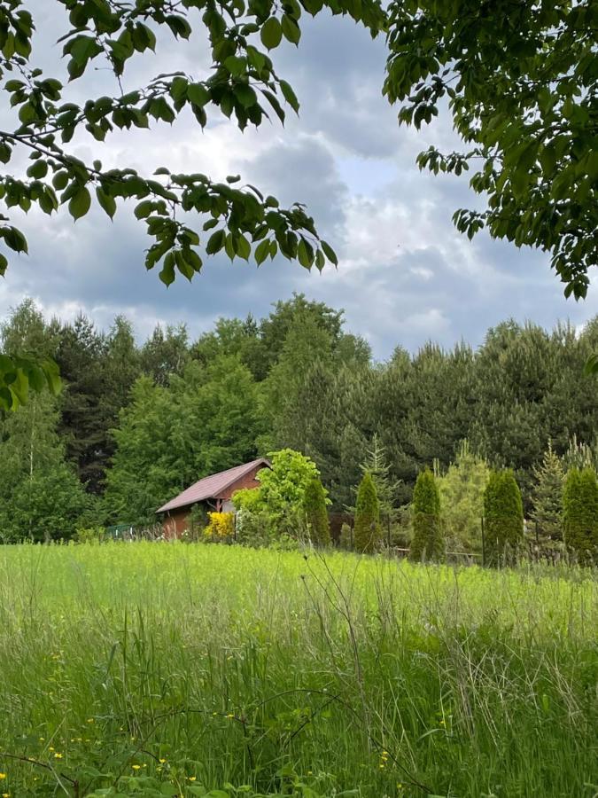 Wittowka - Domek Na Wylacznosc Z Dala Od Sasiadow Tomaszów Lubelski Exteriör bild